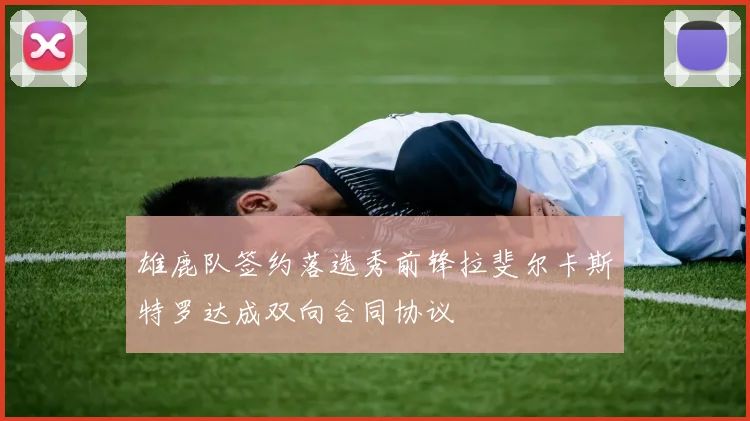 雄鹿队签约落选秀前锋拉斐尔卡斯特罗达成双向合同协议